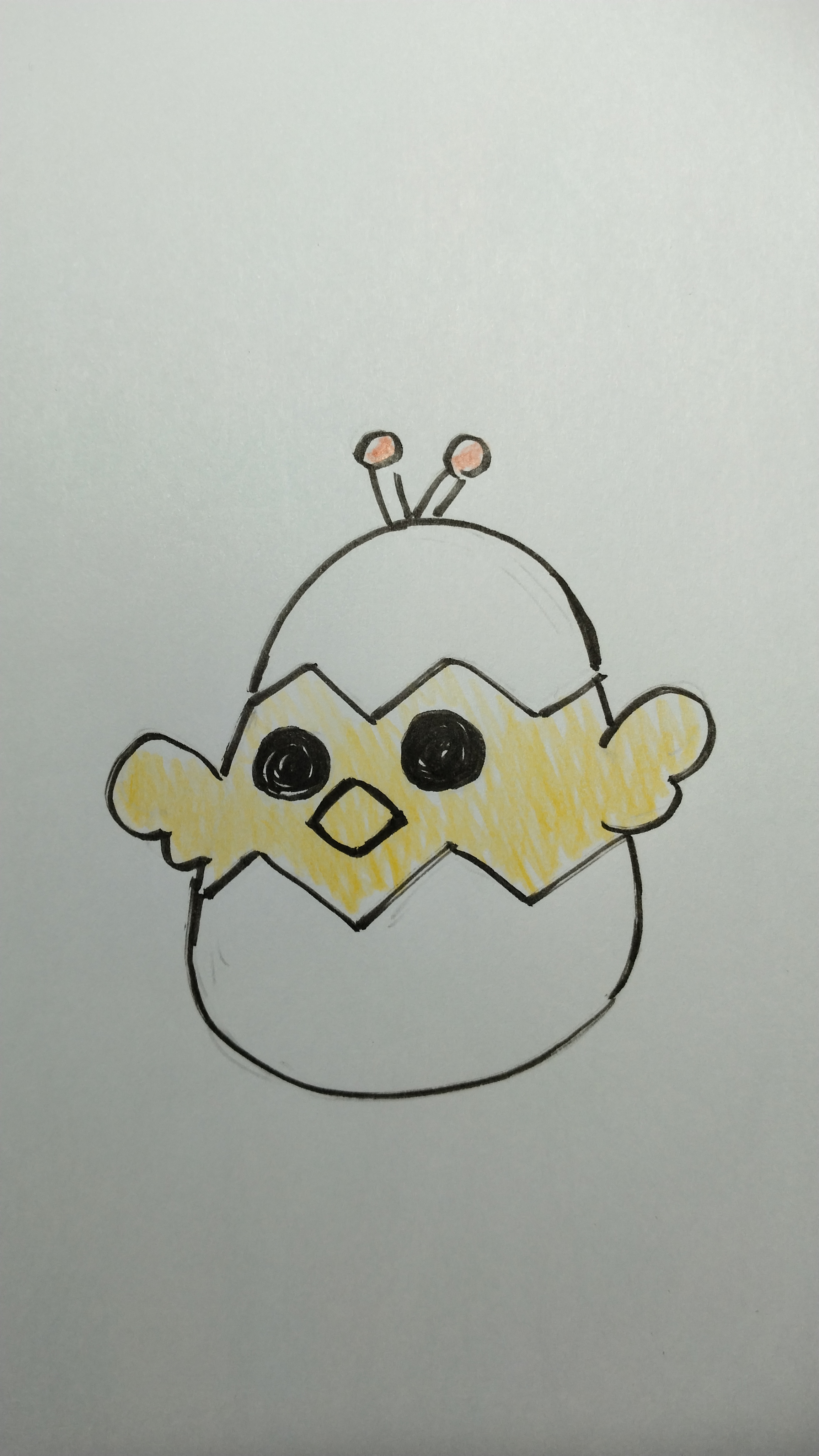 応募作品